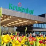 Keukenhof & FlowerFarm Tour From Amsterdam Skip-The-Line tickets - FAQs