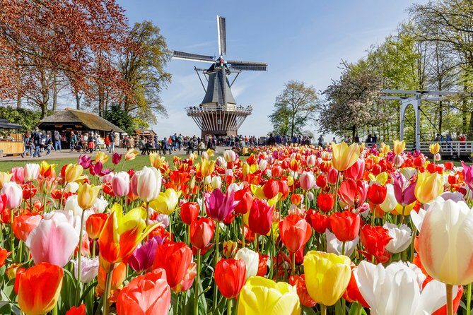 Keukenhof Gardens & Tulip Experience Tour from Amsterdam - Next: The Majestic Keukenhof Gardens