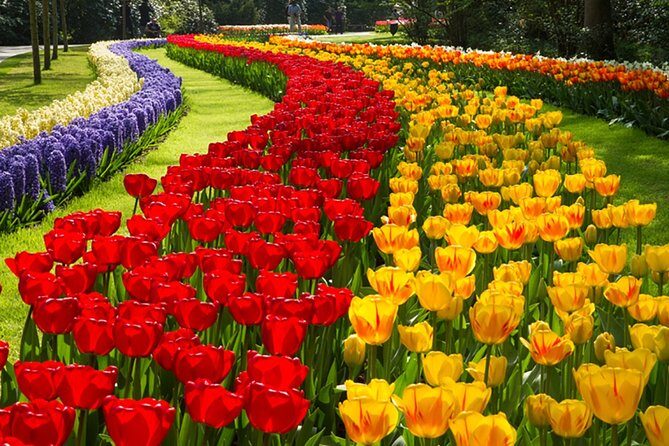 Keukenhof Private Floral Tour from Amsterdam - Who Should Consider This Tour?