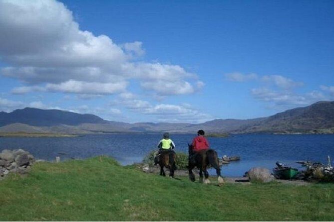 Killarney National Park Horseback Ride. Co Kerry. Guided. 1 hour. - Why This Tour Offers Great Value