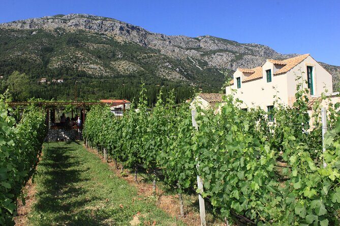 Konavle Region Shared Tour from Cavtat - Final Thoughts