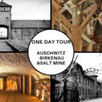 Krakow: Auschwitz-Birkenau and Salt Mine Guided Visits in One Day - The Sum Up