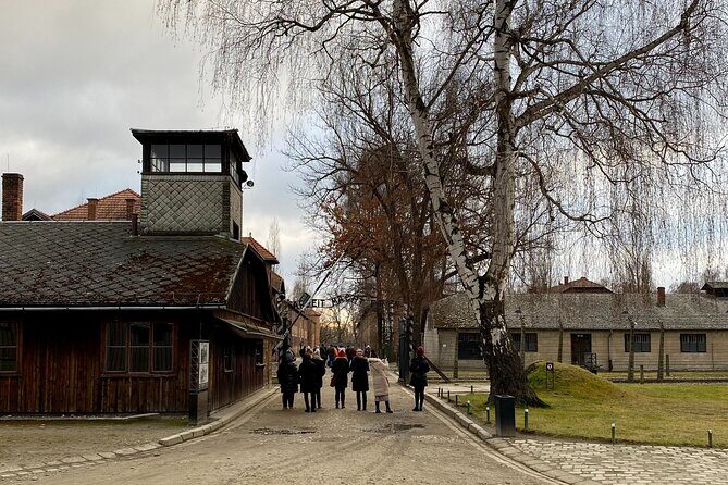 Krakow: Auschwitz-Birkenau Guided Tour & Hotel Pick Up - Who is This Tour Best For?