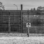 Krakow to Auschwitz-Birkenau Live Guided Tour with Transportation - The Value for Money and Overall Experience
