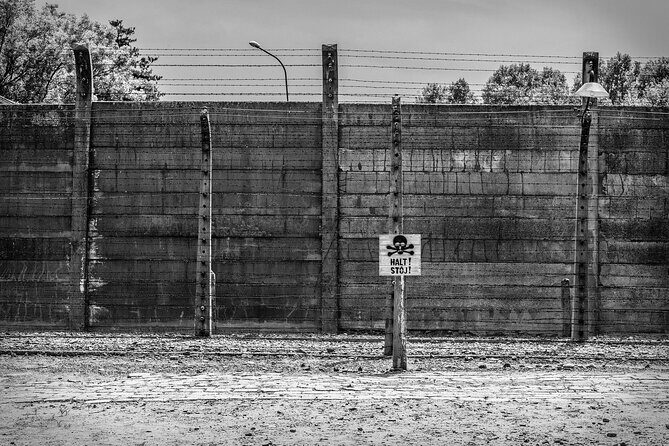 Krakow to Auschwitz-Birkenau Live Guided Tour with Transportation - The Value for Money and Overall Experience