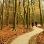 Kröller Müller Museum and Veluwe National Park Private tour - Who Should Consider This Tour?