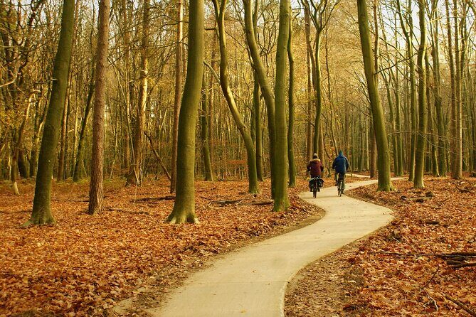 Kröller Müller Museum and Veluwe National Park Private tour - Who Should Consider This Tour?