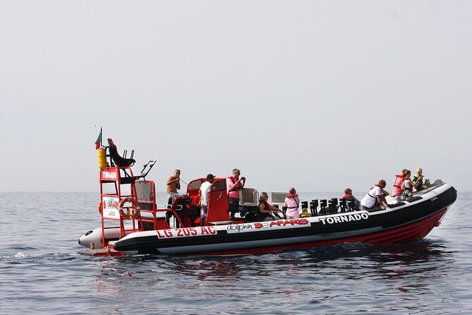Lagos - Benagil Sea Cave Tour Seafaris - Authentic Traveler Insights