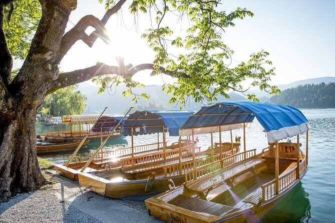 Lake Bled half day tour from Ljubljana - What Do the Reviews Say?