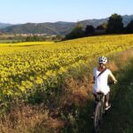Land of painters - the origins of the Tuscan landscape - Key Points