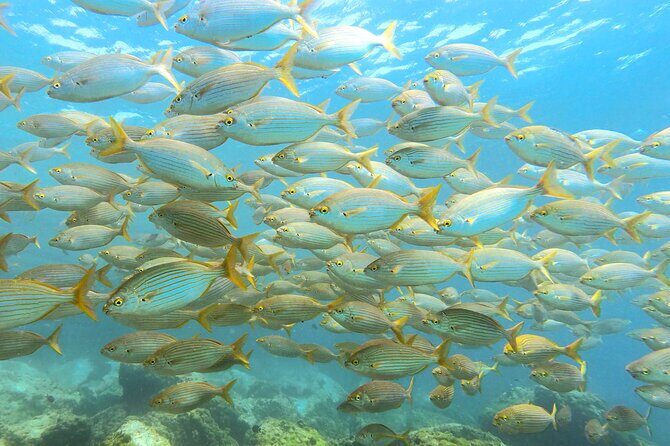 Lanzarote Introductory Scuba Diving Experience - The Itinerary: What to Expect