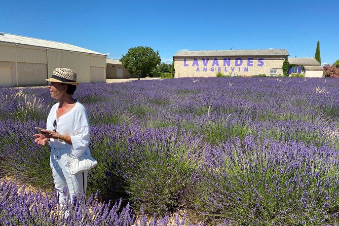 Lavender Discovery Private Tour in Provence - The Authentic Touches: Real Experiences from Other Travelers