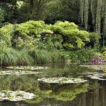 Le Havre Shore Excursion: Private Tour of Giverny, Rouen and Honfleur - A Deep Dive into the Normandy Tour Experience