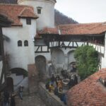 Legends&Wildlife Awaits: Dracula's Castle & Bear Sanctuary - Who Should Consider This Tour?