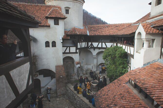Legends&Wildlife Awaits: Dracula's Castle & Bear Sanctuary - Who Should Consider This Tour?
