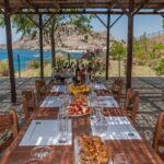 Lemnos wine tour - private tour - Final Thoughts: Who Is This Tour Best For?
