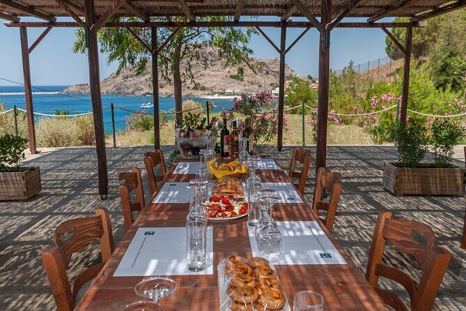 Lemnos wine tour - private tour - Final Thoughts: Who Is This Tour Best For?