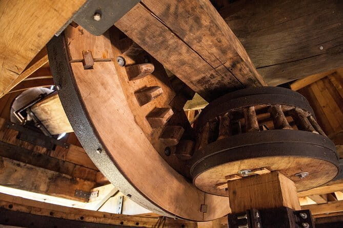 Leonardo Da Vinci's wind mill visit and Organic olive oil tasting - Who Is This Tour Best Suited For?