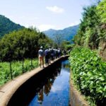 Levada do Norte - Introduction