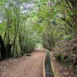 Levada Walk from Ribeiro Frio to Portela - Practical Tips for Your Levada Walk