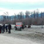 LiBEARty - the Brown Bear Sanctuary from Zarnesti - The Sum Up: Who Will Love This Tour?