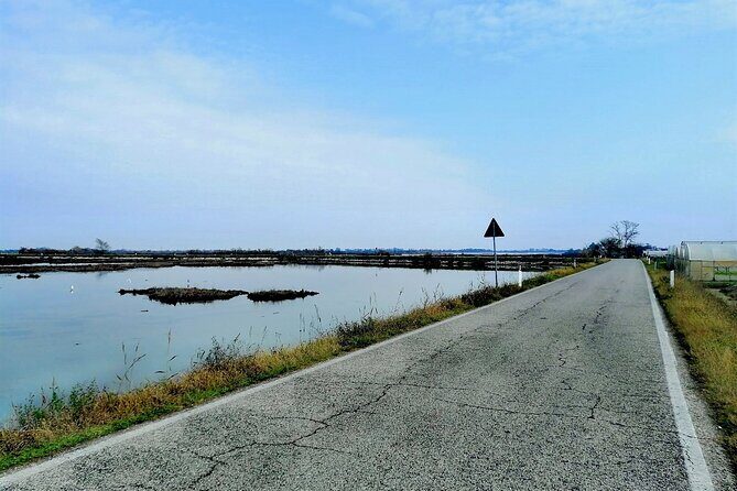Lio Piccolo: Flamingos & Birdwatching Bike Tour in the Lagoon - Final Thoughts