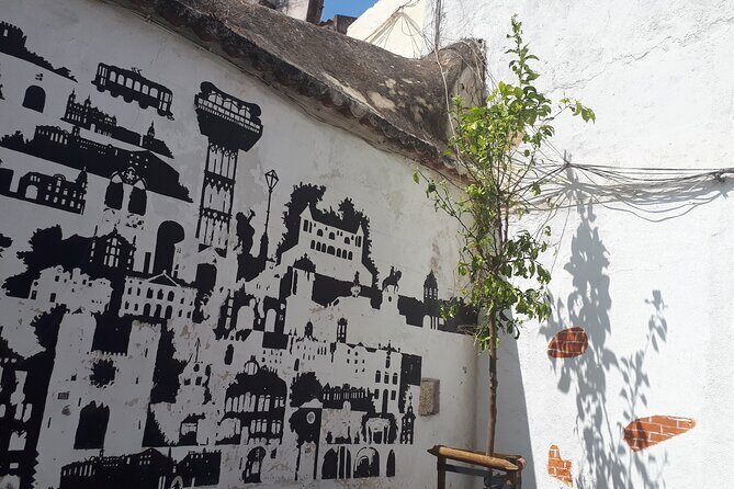 LISBON Street Art Tour - Who Will Love This Tour?