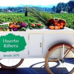 Live an Experience Among Orange Trees in Huerto Ribera - A Closer Look at the Experience