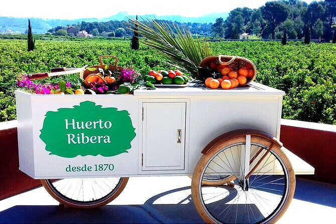 Live an Experience Among Orange Trees in Huerto Ribera - A Closer Look at the Experience