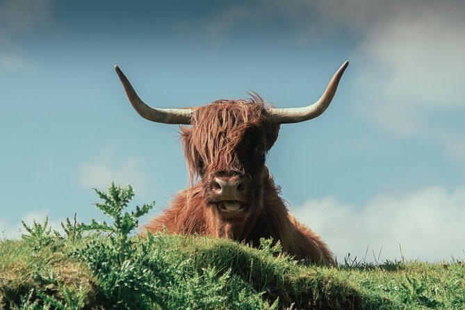 Loch Ness, Glen Coe & The Highlands Day Tour from Edinburgh - Who Should Consider This Tour?