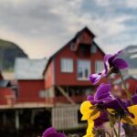 Lofoten VIP PRIVATE Tour from Leknes city / port - Why Choose This Tour?