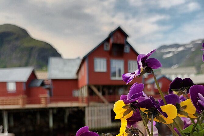 Lofoten VIP PRIVATE Tour from Leknes city / port - Why Choose This Tour?