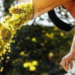 Loire Valley Wine Half Day Tour in Vouvray - Who Will Enjoy This Tour?