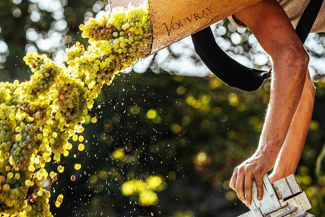 Loire Valley Wine Half Day Tour in Vouvray - Who Will Enjoy This Tour?