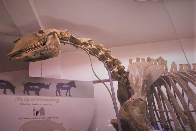 London Natural History Museum Private Tour for Kids & Families - Practical Details and Value