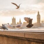 London Scavenger Hunt and Highlights Self-Guided Tour - Authentic Local Stories and Hidden Corners