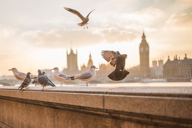 London Scavenger Hunt and Highlights Self-Guided Tour - Authentic Local Stories and Hidden Corners