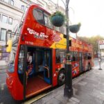 London Tour Hop-on Hop-off Bus with Optional Thames River cruise - Authentic Experiences from Reviewers