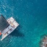 Luxury Catamaran Cruise with Brunch and Unlimited Drinks - The Experience: Comfort, Food, and Marine Life