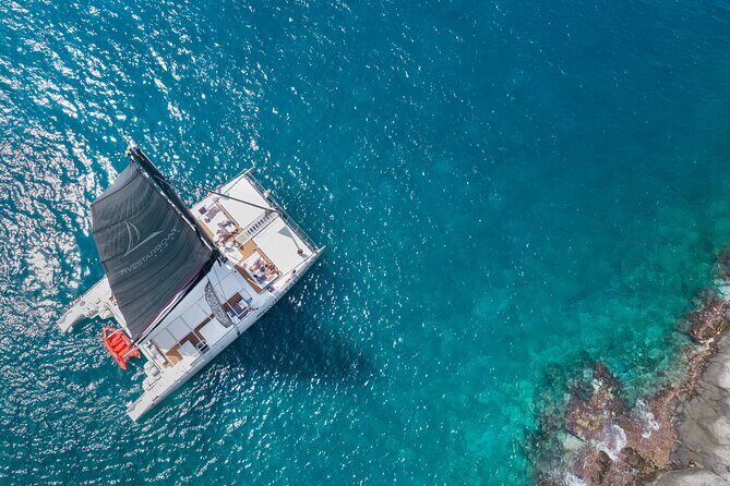 Luxury Catamaran Cruise with Brunch and Unlimited Drinks - The Experience: Comfort, Food, and Marine Life