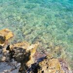 Luxury Day tour to Korula - Analyzing the Value and Experience