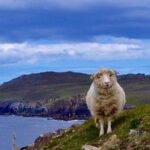 Luxury 'Luck of the Irish' Tour - 4 Day Tour - What Makes This Tour Stand Out?