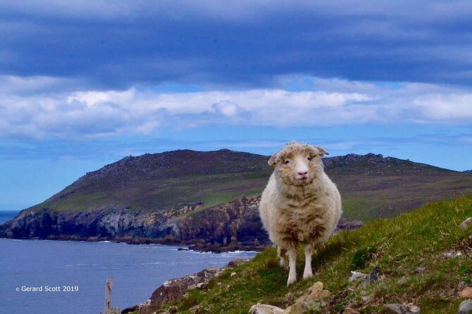 Luxury 'Luck of the Irish' Tour - 4 Day Tour - What Makes This Tour Stand Out?