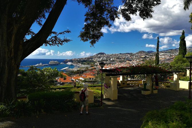 Madeira Grand Experience by Tukxi, Private Tour - What to Expect During the Tour