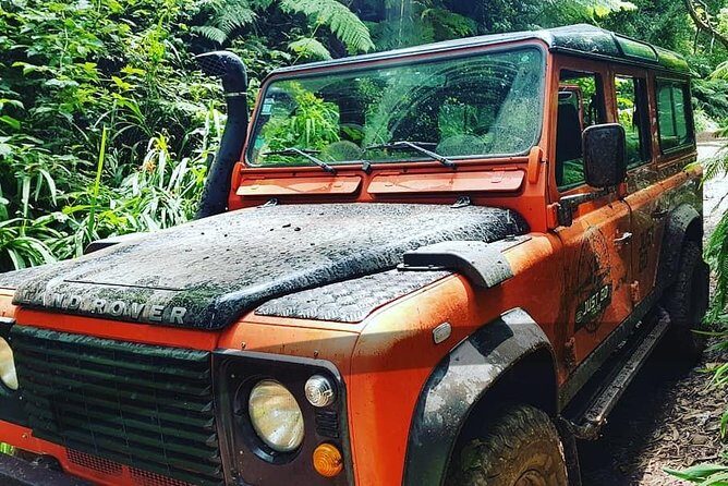 Madeira Jeep 4x4: Old Forest Full-Day Tour incl Pico Arieiro - An In-Depth Look at the Madeira Jeep 4x4 Tour