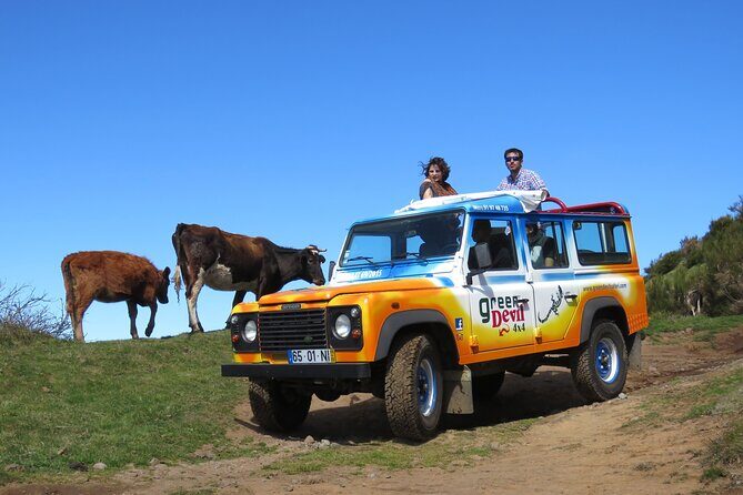 Madeira West - Enchanted Terraces & Fanal Unesco open top jeep - The Sum Up