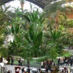 Madrid Custom Private Tour with Prado Museum - Authentic Experiences According to Past Travelers