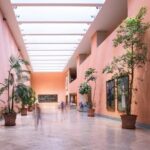 Madrid Private Walking Tour of Thyssen and Reina Sofia Museums - A Detailed Look at the Madrid Art Tour