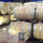 Madrid Winery Tour with Tasting & Sommelier Guide - Final Thoughts