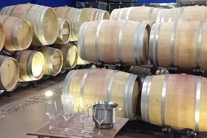Madrid Winery Tour with Tasting & Sommelier Guide - Final Thoughts